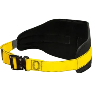 Worker positioning belts
